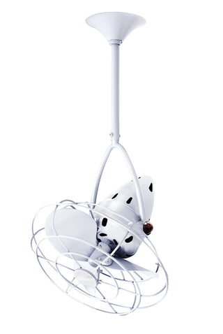Jarold Direcional 13" Ceiling Fan in Gloss White