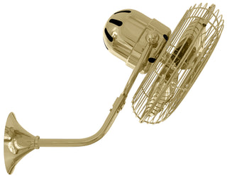 Michelle Parede 13" Wall Fan in Polished Brass