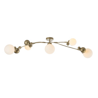 Sprig Sprig Semi-Flush in Soft Gold