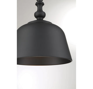 Berg One Light Pendant in Matte Black
