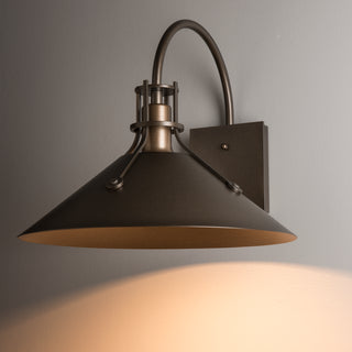 Henry Henry Large Dark Sky Friendly Outdoor Sconce in Coastal Bronze
