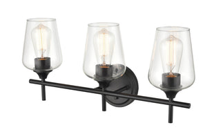 Ashford Three Light Vanity in Matte Black