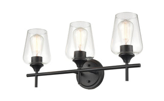 Ashford Three Light Vanity in Matte Black