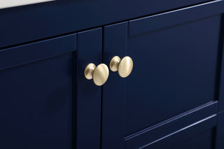 Theo Single Bathroom Vanity in Blue