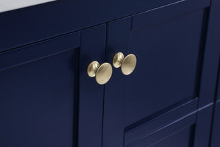 Theo Single Bathroom Vanity in Blue