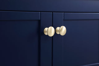 Theo Single Bathroom Vanity in Blue