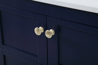 Theo Double Bathroom Vanity in Blue