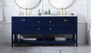 Theo Double Bathroom Vanity in Blue