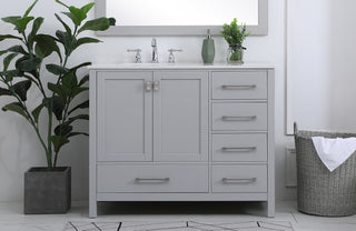 Irene Single Bathroom Vanity in Gray