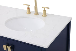 Irene Double Bathroom Vanity in Blue