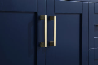 Aubrey Single Bathroom Vanity in Blue