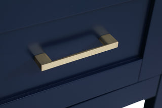 Aubrey Single Bathroom Vanity in Blue