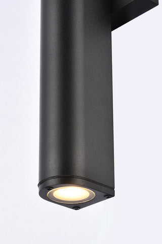 Raine LED Outdoor Wall Lamp in black