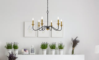 Rohan Six Light Chandelier in Brass and Black