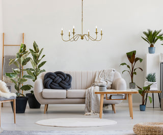 Rohan Six Light Chandelier in Brass