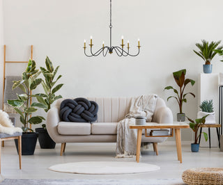 Rohan Six Light Chandelier in Brass and Black