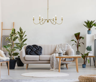 Rohan Six Light Chandelier in Brass