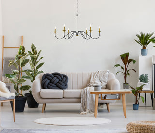 Rohan Six Light Chandelier in Brass and Black