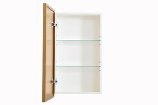 Wyn Medicine Cabinet in Brass