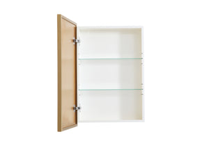 Wyn Medicine Cabinet in Brass