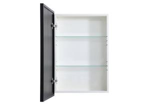 Wyn Medicine Cabinet in Black