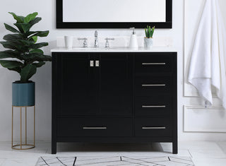 Irene Bathroom Vanity Set in Black
