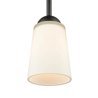 Ivey Lake One Light Mini Pendant in Matte Black