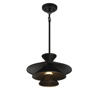 One Light Pendant in Matte Black