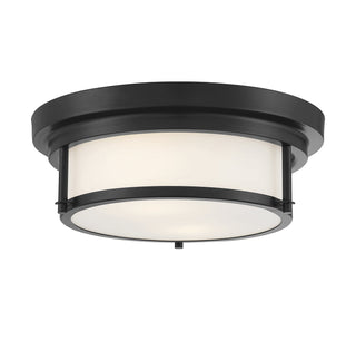 Two Light Flush Mount in Matte Black