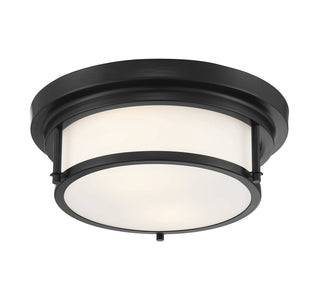 Two Light Flush Mount in Matte Black
