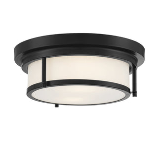 Two Light Flush Mount in Matte Black
