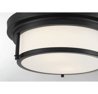 Two Light Flush Mount in Matte Black