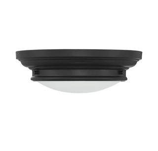 Two Light Flush Mount in Matte Black