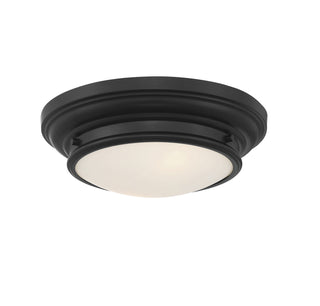 Two Light Flush Mount in Matte Black