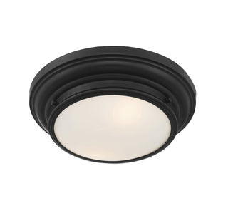 Two Light Flush Mount in Matte Black