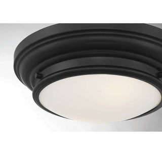 Two Light Flush Mount in Matte Black