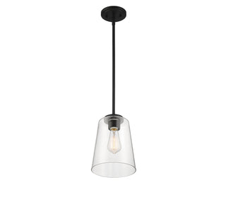 Calhoun One Light Mini-Pendant in Matte Black