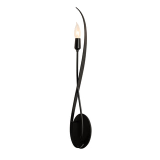 Willow Willow Sconce in Black