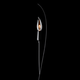Willow Willow Sconce in Black