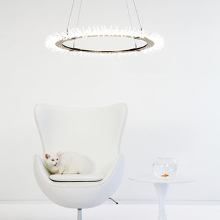 Anemone Anemone Circular LED Pendant in Soft Gold