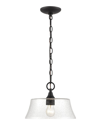 Caily One Light Pendant in Matte Black