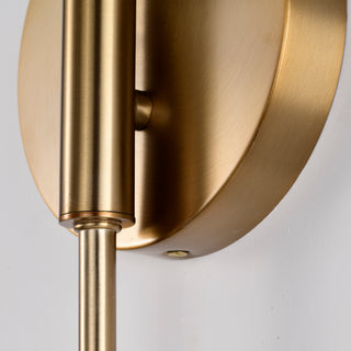 Trilby One Light Wall Sconce in Matte White / Burnished Brass