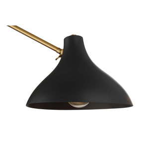 Two Light Wall Sconce in Matte Black with Natural Brass