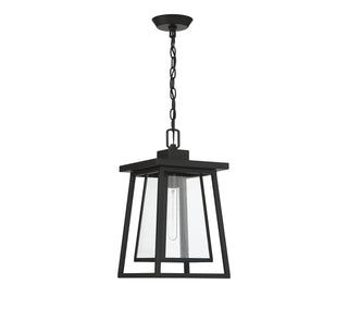 Denver One Light Outdoor Hanging Lantern in Matte Black
