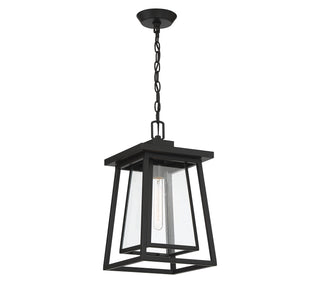 Denver One Light Outdoor Hanging Lantern in Matte Black