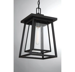 Denver One Light Outdoor Hanging Lantern in Matte Black