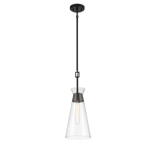 Lakewood One Light Pendant in Matte Black