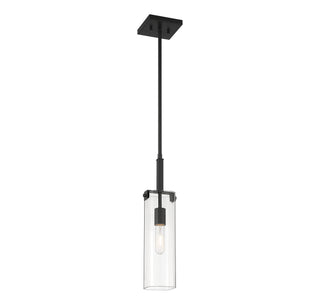 Winfield One Light Mini-Pendant in Matte Black