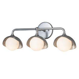 Brooklyn Brooklyn 3-Light Single Shade Bath Sconce in Sterling