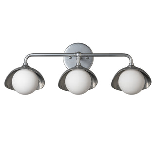 Brooklyn Brooklyn 3-Light Single Shade Bath Sconce in Sterling